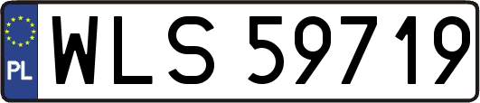 WLS59719