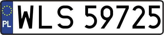 WLS59725