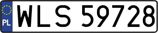 WLS59728