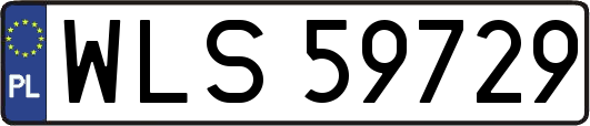 WLS59729