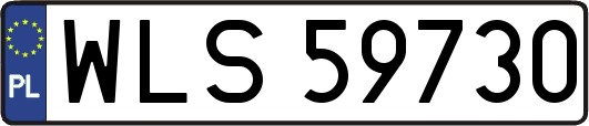 WLS59730