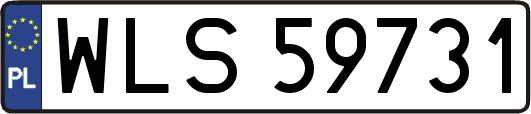 WLS59731