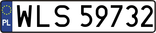 WLS59732