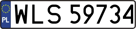 WLS59734