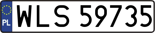 WLS59735