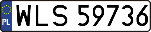 WLS59736