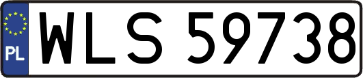 WLS59738