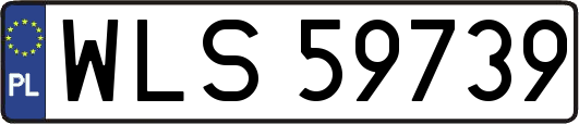 WLS59739