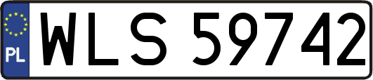 WLS59742