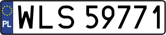 WLS59771