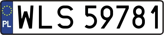 WLS59781