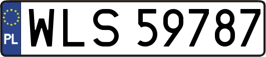 WLS59787