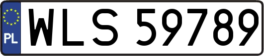 WLS59789