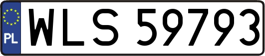 WLS59793