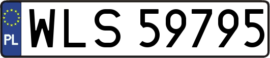WLS59795