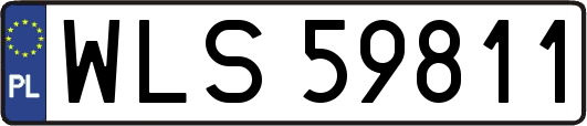 WLS59811