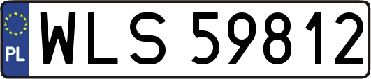WLS59812