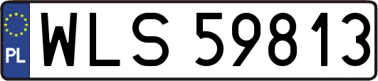 WLS59813