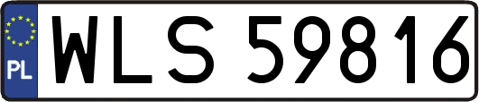 WLS59816