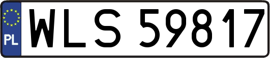WLS59817