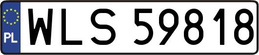WLS59818