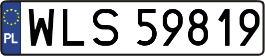 WLS59819