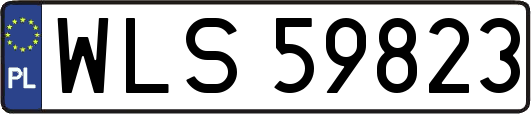 WLS59823