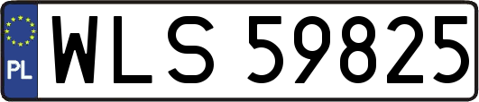 WLS59825