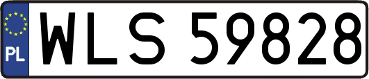 WLS59828