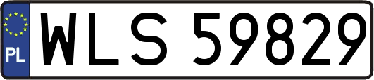 WLS59829