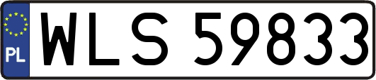 WLS59833