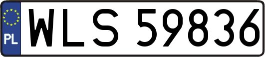 WLS59836