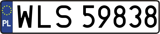 WLS59838