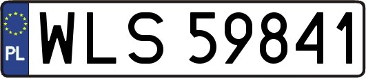 WLS59841