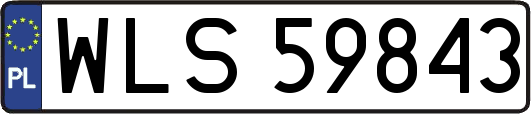 WLS59843