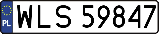 WLS59847
