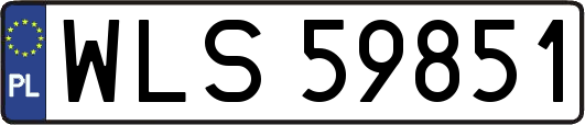 WLS59851