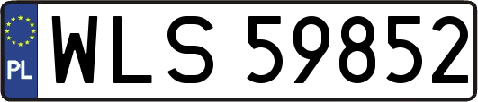 WLS59852