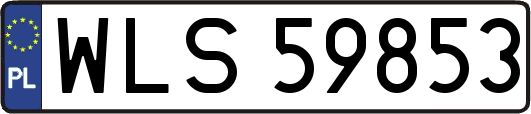 WLS59853