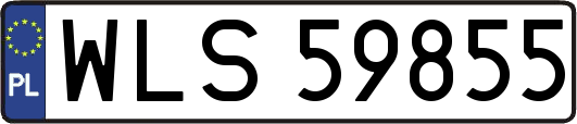 WLS59855