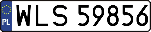 WLS59856