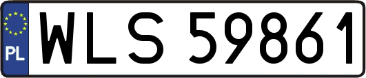 WLS59861