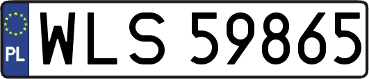 WLS59865