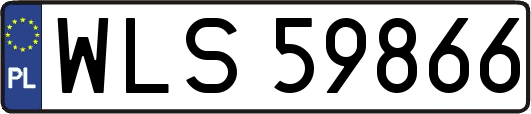WLS59866