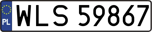 WLS59867