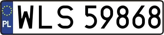 WLS59868
