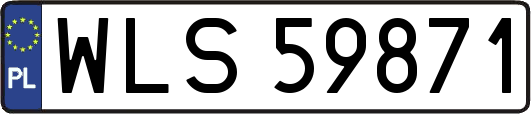 WLS59871