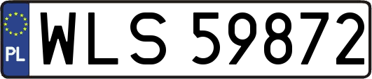 WLS59872