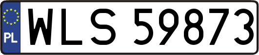 WLS59873
