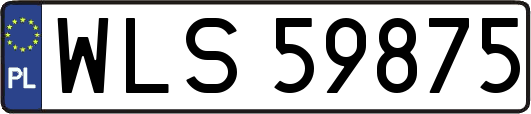 WLS59875